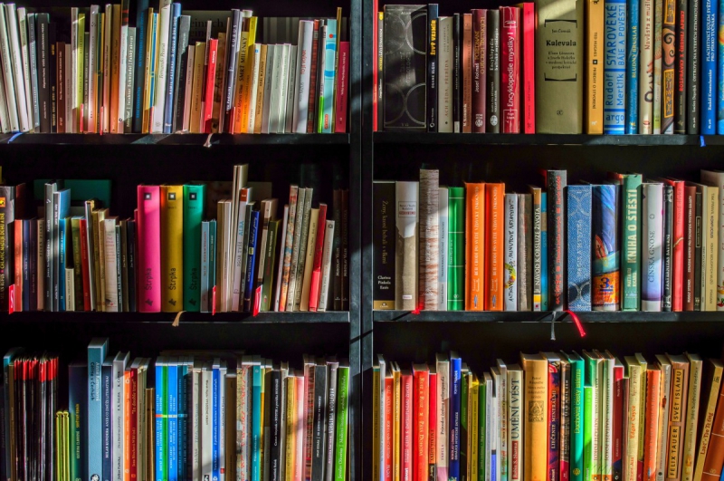 magasin--min_books_bookstore_book_reading_shop_writer_sale_books_read-822866